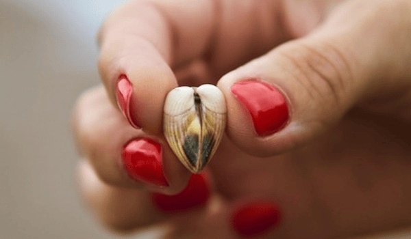 1996年出生者必看：上升星座查询表与命运解析